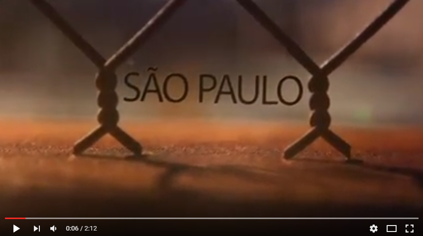 São Paulo – A cidade pode sobreviver?