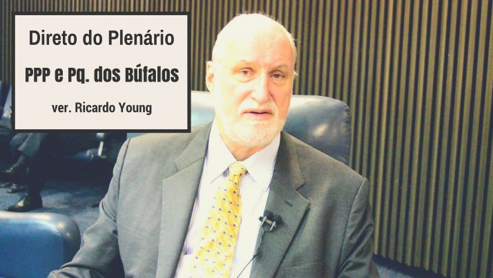 Vídeo: Direto do Plenário sobre a PPP para a Iluminação e o Pq dos Búfalos